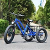 /product-detail/hot-sell-tricycle-electric-bicycle-three-wheeler-60800514425.html