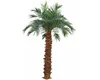 /product-detail/uv-resistant-indoor-outdoor-lighted-artificial-date-palm-tree-fire-retardant-artificial-washington-coconut-palm-tree-60680160952.html