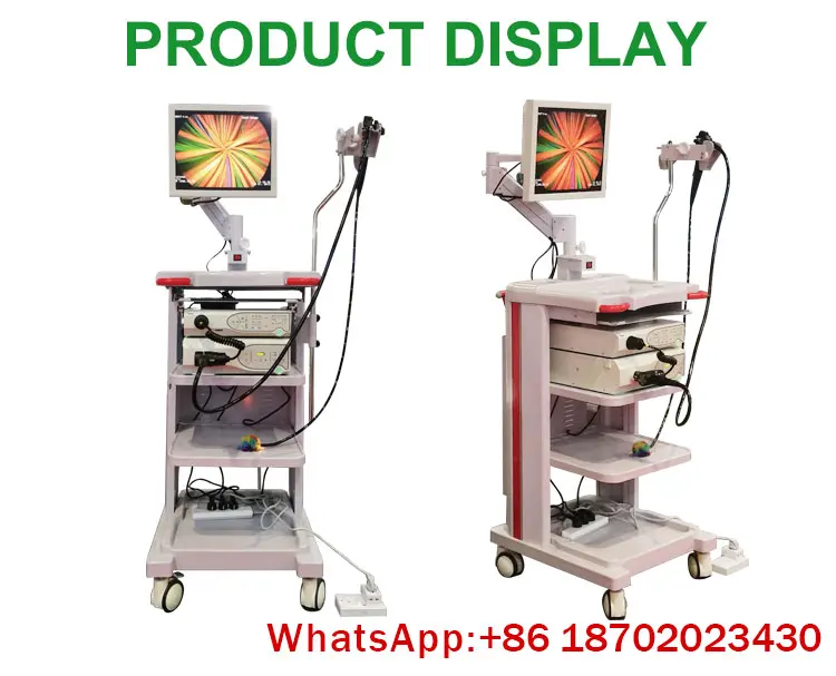 IN-P6100