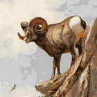 oil painting by number sheep picture painting on canvas GX6980 yiwu factory wholesales new design