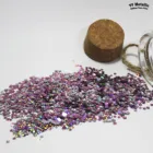 STAR shape Glitter wholesales other shape glitter small packing sale