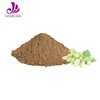 /product-detail/supplement-herb-hops-humulus-powder-60831305491.html