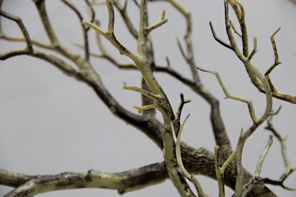 artificial dry tree branches for indoor decoration and artificial dry tree branches for indoor decoration and