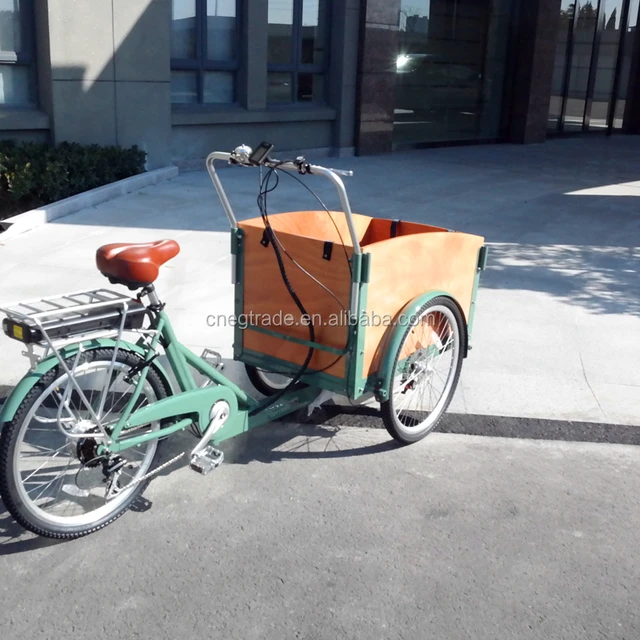 cargo tricycle china/electric three wheel cargo bike for sale/three wheel electric cargo bike for adults