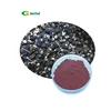 /product-detail/100-pure-freeze-dried-black-goji-berry-powder-black-wolfberry-powder-60677157554.html