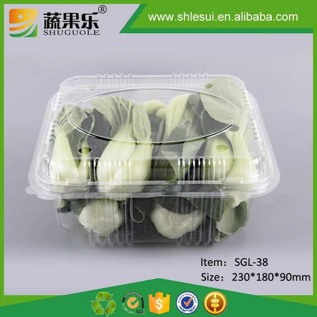 New fruit vegetable blister packaging plastic carton box