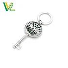 Custom made professional Zinc alloy Key Shape with Crystal keyring carabiner Gold nickel Carabiner Souvenir Keychain