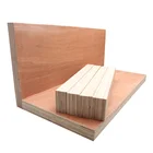 Crack resistance birch ply wood for container