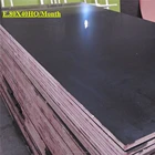 18mm 13 Layer Best High Quality Arrow Ply Phenolic Plywood To Philippines