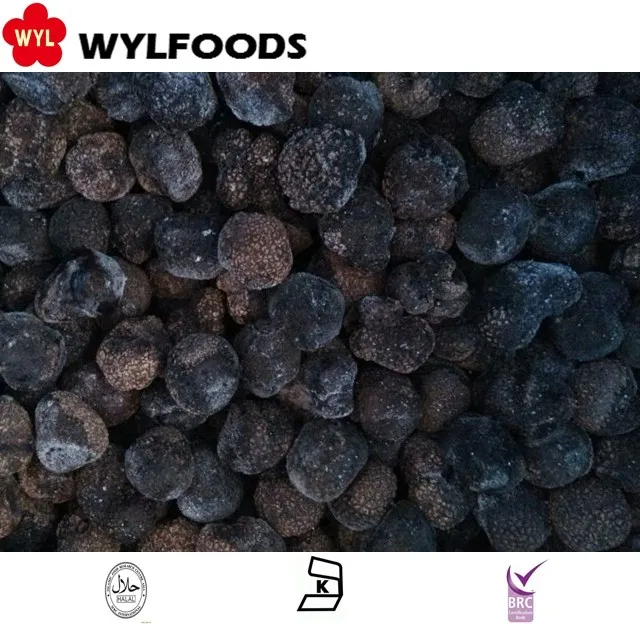 china wild best price black mushrooms & chinese truffles for sale