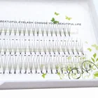 Russian Natural Looking Volume Fan Cluster Eyelashes Factory Price