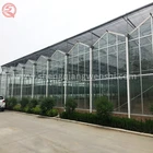 Low Cost Commerical Agriculture Tomato Multi-Span Glass Garden Greenhouse For Sale
