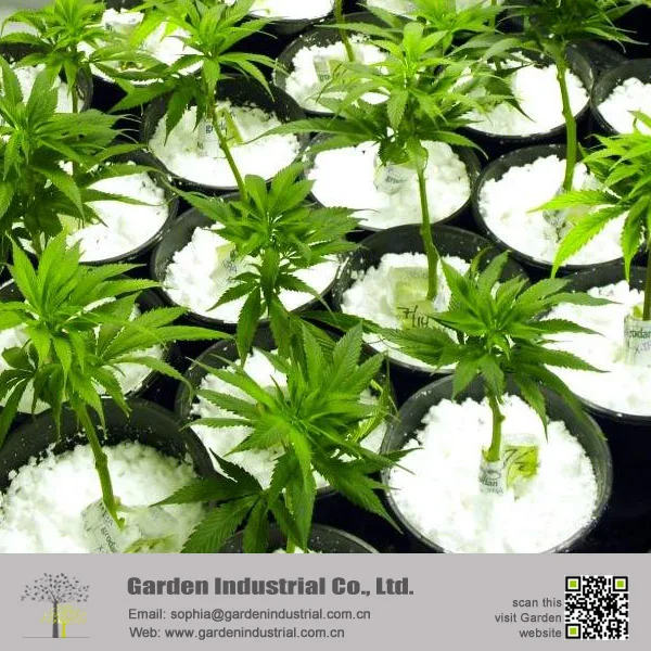 Hydroponic Growing Media Perlite