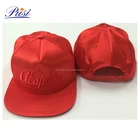 Embroidered Pattern Custom Hats and Caps Snapback for Adult
