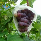Fruit Cover Bag Fabric Nonwoven Plant Protective Bag Banana