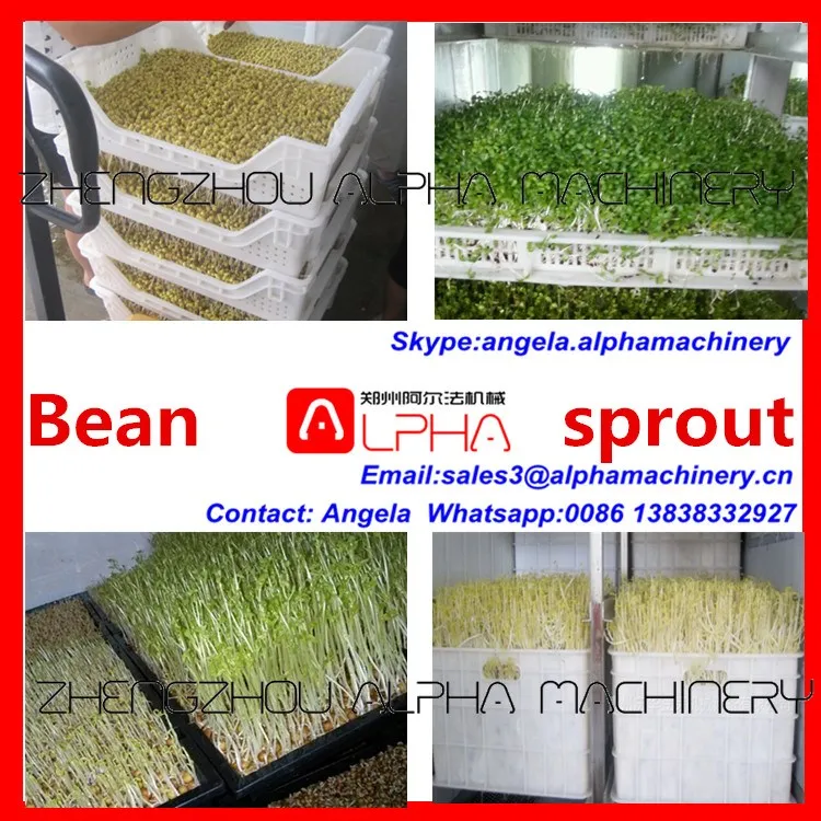 growing soya sprouts/bean sprout maker/seeds planting machine