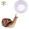 /product-detail/snail-slime-extract-snail-secretion-filtrate-snail-extract-protein-for-skin-care-60726738008.html