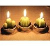 EasternHope Birthday Party Decorations Green Cactus Red Purple Grape Candles Birthday Cake Supplies Happy Birthday Decor
