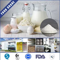 Food Grade Good Price Sodium Carboxymethyl