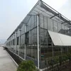 /product-detail/high-quality-agriculture-glass-hydroponic-greenhouse-for-tomato-60803981583.html