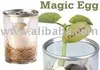 /product-detail/magic-bean-magic-egg-sword-bean-lovely-egg-magic-face-egg-promotional-gift-can-flower-mini-plant-magic-plant-105186990.html