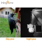 Waterproof / Weatherproof Camera 24MP/1080P Night Vision IP66 Hideden Deer Hunting Trail Camera