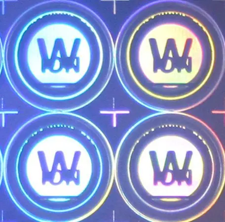 New stylish hologram sticker 3d hologram custom hologram sticker