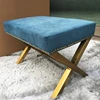/product-detail/blue-sponge-comfortable-foot-step-stool-modern-leisure-feet-ottoman-201-brushed-stainless-steel-soft-padded-chair-stool-60840480687.html