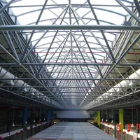 Large Span Red Dragon Shopping Mall