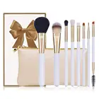 Top Quality Professional Makeup Brush Kit with 8pcs Beautiful Brushes as A Set