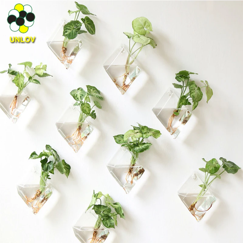 Home Garten Hängen halten Wand Glas Pflanzer Kreative Terrarium Glas Blumentopf Für Pflanzen