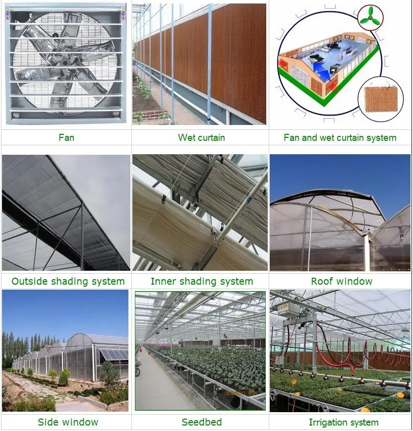 High quality multi-span plastic film greenhouse for agriculture