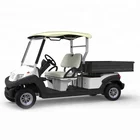 4 Wheel 2 Person Electric Truck Golf Cart
