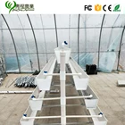 strawberry plastic containers greenhouse for strawberry
