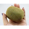 /product-detail/high-quality-artificial-vegetable-and-fruit-fake-food-model-fake-kiwi-fruit-for-decoration-60312877787.html