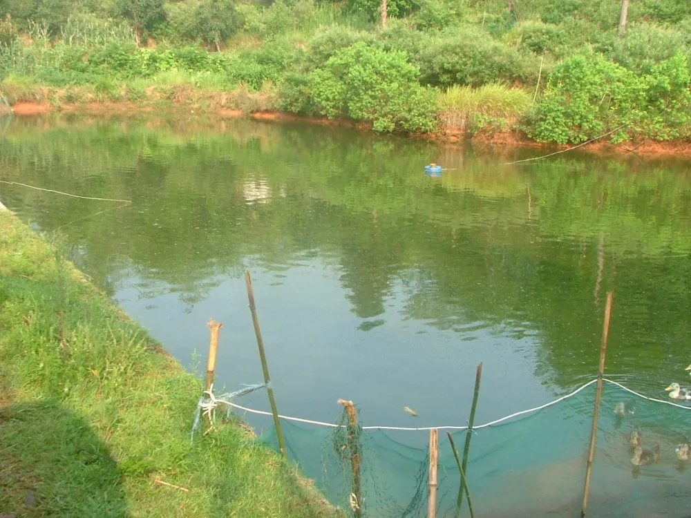 Water Jet Aerator23.jpg