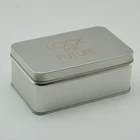 Pencil Tin Metal Box For Pencils LOOK FOR FUTURE Wholesale Silver Colour With 1 Special Colour Metal Pencil Tin Box