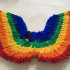 Newest design rainbow feather wing supplies