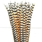 High Quality Natural Reeves Pheasant Tail Feather for Sale