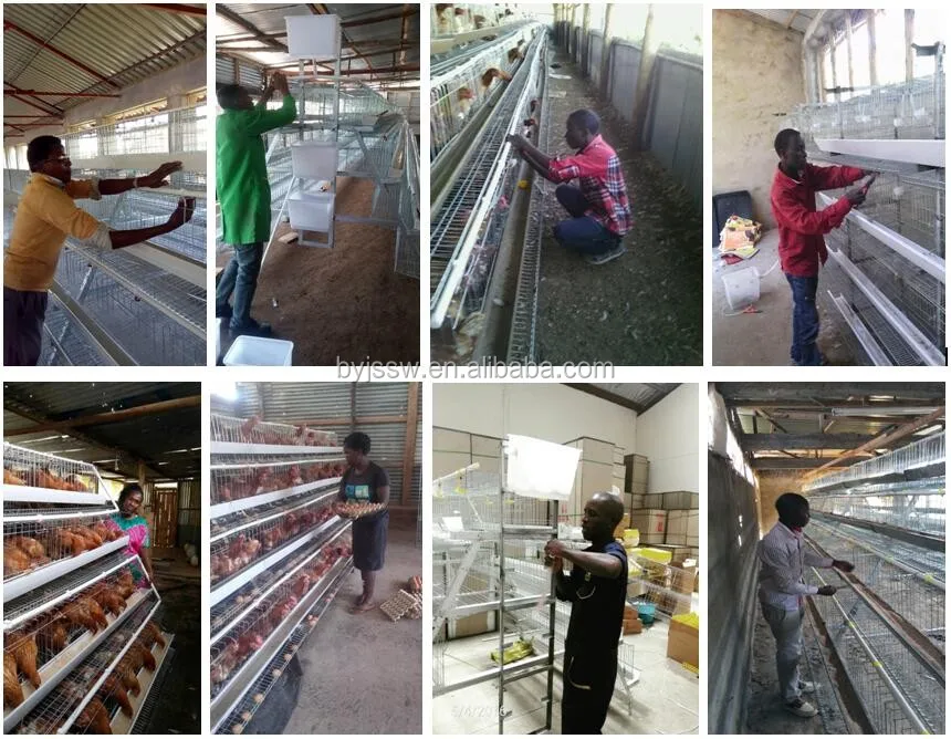 Metal Wire Chicken Cage For Farm