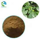 High quality natural eucommia leaves extract