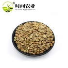 High quality robusta green coffee bean grown in Vietnam
