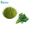 /product-detail/natural-vegetable-supplement-dehydrated-spinach-powder-60092394989.html
