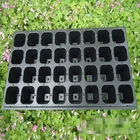 Garden Planter Plastic Nursery Seeding Tray for growing