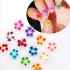12 Colors Decoration Dry Flower Nail Stickers For 3D Nail DIY