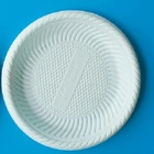 Environment-friendly Biodegradable Corn Starch Plate Disposable Dinnerware