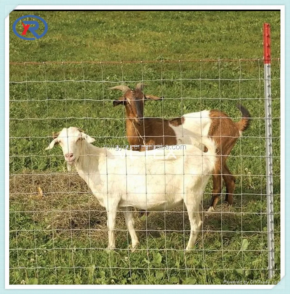 High Tensile Goat Fence Roll Cattle Fence Designs Field Fence Buy