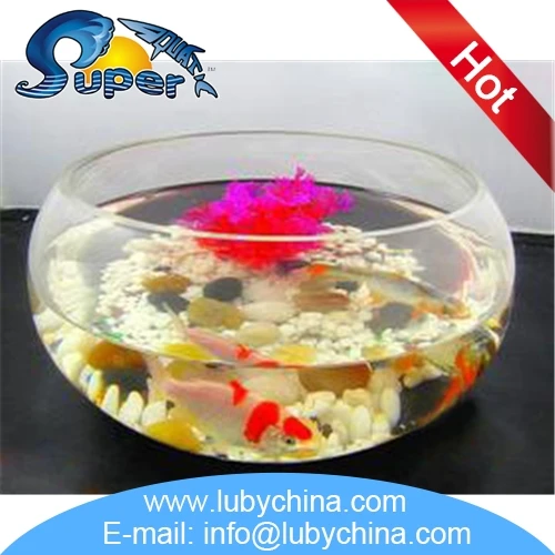 Fashionable round fish tank with CE certificate