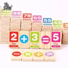 Baby Brain Development Play Toy Educational Wooden Domino