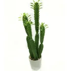 Mini Cactus Cactus 2018 Popular Simple Style Faux Mini Potted Plants Artificial Cactus Pots Planter